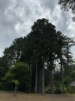 胎内神社(静岡県)