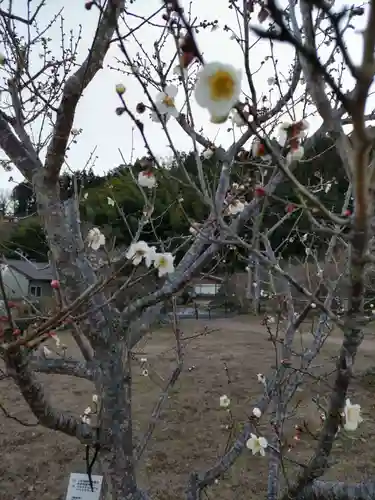 天澤院の庭園