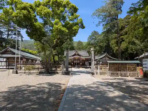 大麻比古神社(徳島県)