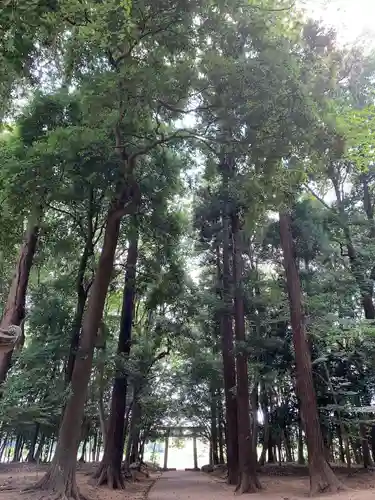 東蕗田天満社の鳥居