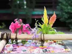 今市報徳二宮神社の手水