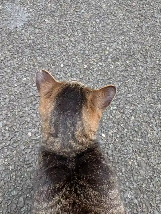 白金氷川神社(東京都)