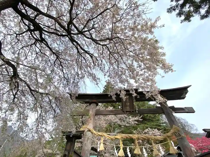 山家神社の自然