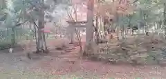 鍬山神社の鳥居