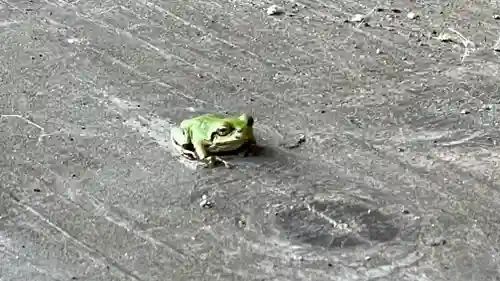 青竜寺(山形県)