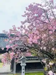 守りの神　藤基神社(新潟県)