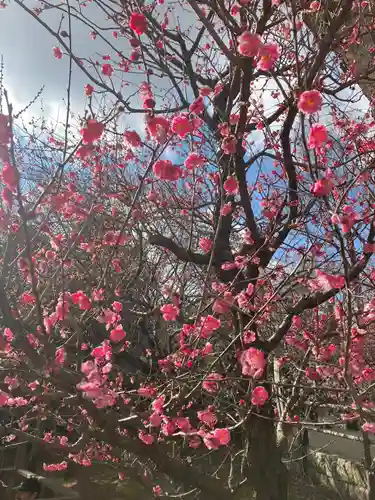 北野天満宮(京都府)