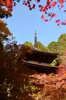 金剛輪寺(滋賀県)