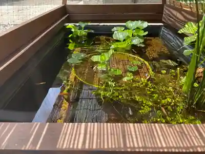 根岸八幡神社(神奈川県)