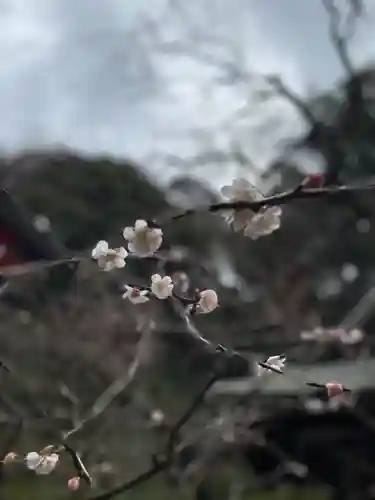 荏柄天神社の自然