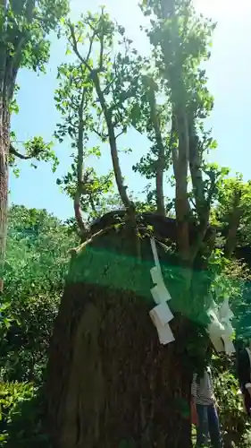 江島神社の建物その他