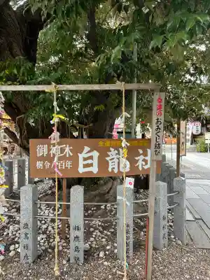 伊奴神社の{uncategorized: "未分類", other: "その他", undefined: "問題あり", building: "その他建物", grave: "お墓", sacred_gate: "鳥居", guardian: "狛犬", statue: "像", buddha: "仏像", history: "歴史", nature: "自然", garden: "庭園", animal: "動物", pagoda: "塔", temizu: "手水舎", mountain_gate: "山門・神門", sanctuary: "本殿・本堂", subordinate: "末社・摂社", art: "芸術", scenery: "景色", jizo: "地蔵", ema: "絵馬", goshuin: "御朱印", omikuji: "おみくじ", items: "授与品その他", amulet: "お守り", goshuincho: "御朱印帳", eats: "食事", festival: "お祭り", votive_dance: "神楽", shichigosan: "七五三参", wedding: "結婚式", experience: "体験その他", initially: "初詣", around: "周辺", anti_infection: "感染症対策"}