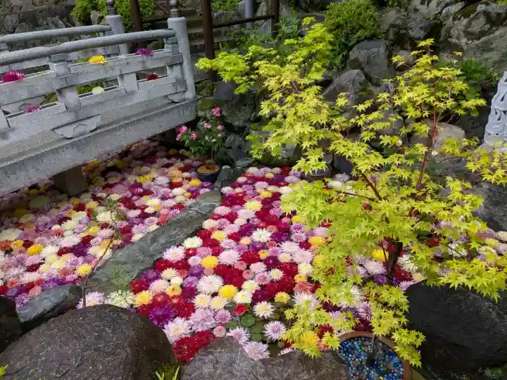 岡寺(龍蓋寺)(奈良県)