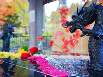 美幌神社の手水舎