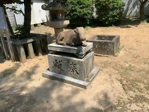 立帰天満宮の狛犬