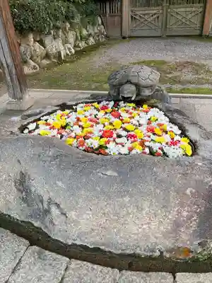 兵主大社の手水舎