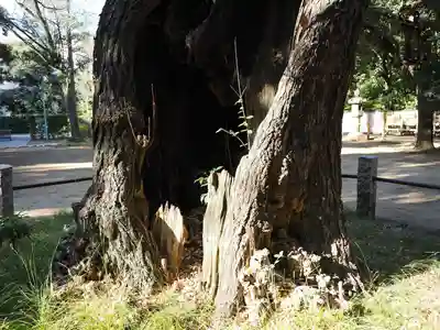 赤坂氷川神社(東京都)