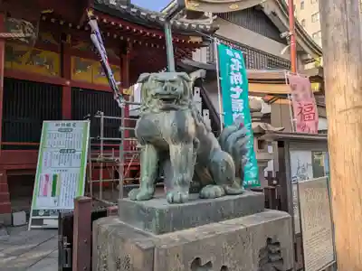 浅草神社の狛犬