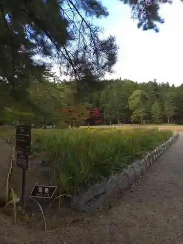 毛越寺の御朱印