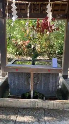 赤坂氷川神社の手水舎