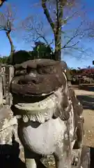 津森神宮の狛犬