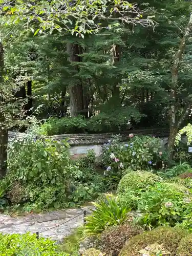 龍潭寺(静岡県)