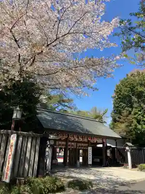 櫻木神社(千葉県)