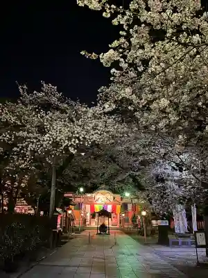 蓮馨寺の{uncategorized: "未分類", other: "その他", undefined: "問題あり", building: "その他建物", grave: "お墓", sacred_gate: "鳥居", guardian: "狛犬", statue: "像", buddha: "仏像", history: "歴史", nature: "自然", garden: "庭園", animal: "動物", pagoda: "塔", temizu: "手水舎", mountain_gate: "山門・神門", sanctuary: "本殿・本堂", subordinate: "末社・摂社", art: "芸術", scenery: "景色", jizo: "地蔵", ema: "絵馬", goshuin: "御朱印", omikuji: "おみくじ", items: "授与品その他", amulet: "お守り", goshuincho: "御朱印帳", eats: "食事", festival: "お祭り", votive_dance: "神楽", shichigosan: "七五三参", wedding: "結婚式", experience: "体験その他", initially: "初詣", around: "周辺", anti_infection: "感染症対策"}