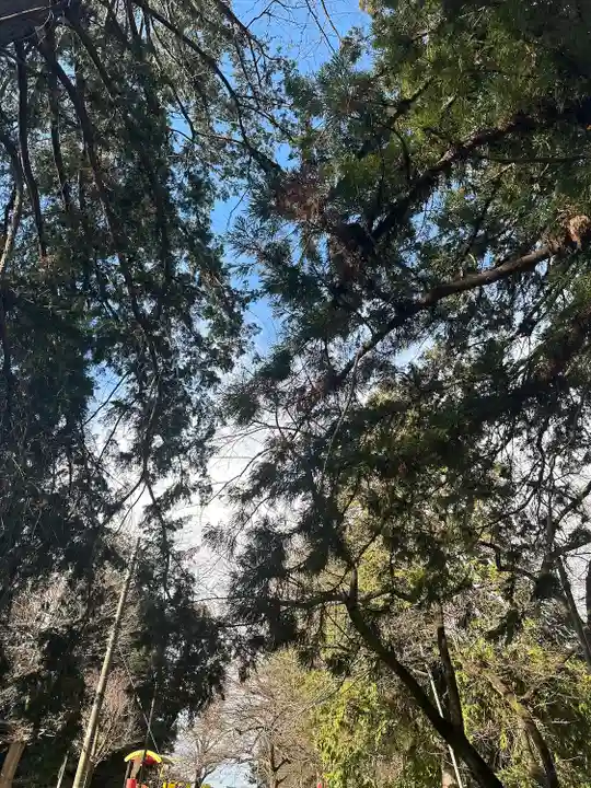 三芳野神社(埼玉県)