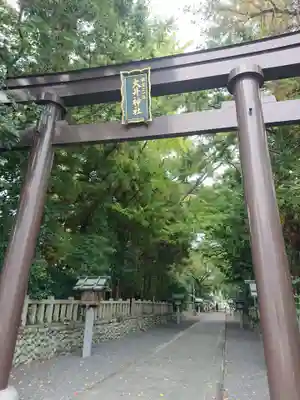 大井神社の鳥居