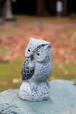 上川神社の狛犬