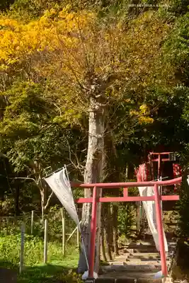 大江稲荷(神奈川県)