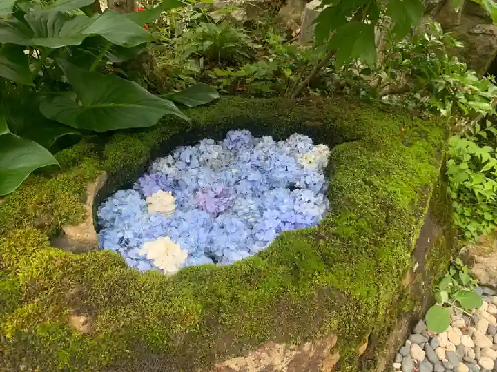高原寺(兵庫県)