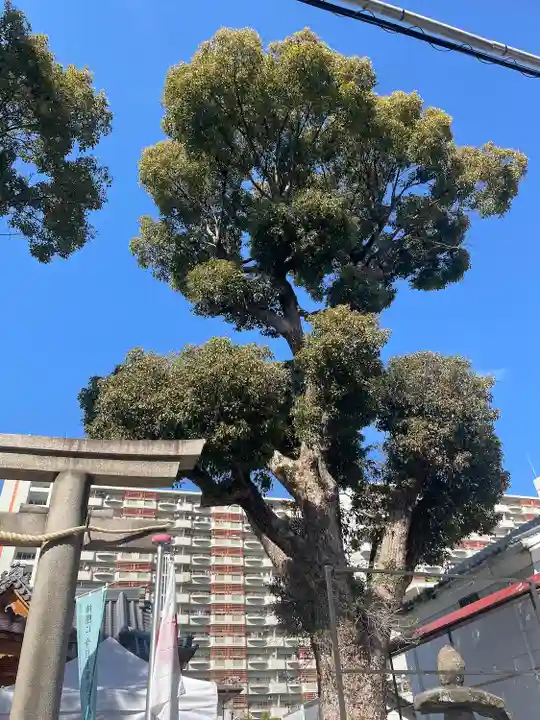 八幡神社(大阪府)
