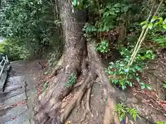 嶋満神社(京都府)