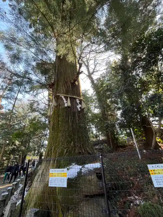 高尾山薬王院(東京都)