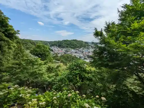 長谷寺(神奈川県)