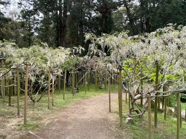 歌泉堂(春日大社神苑萬葉植物園内鎮座)(奈良県)