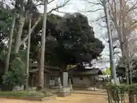 鳥見神社(千葉県)