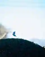 浄土寺(兵庫県)