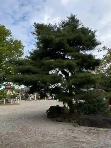 葛飾八幡宮(千葉県)