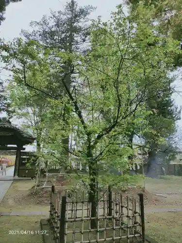 朝日森天満宮の庭園