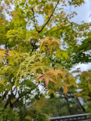 妙満寺(京都府)