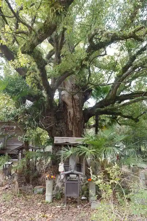 志度寺(香川県)