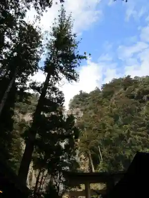 飛瀧神社(熊野那智大社別宮)(和歌山県)
