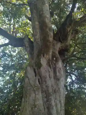 浅間神社(福島県)