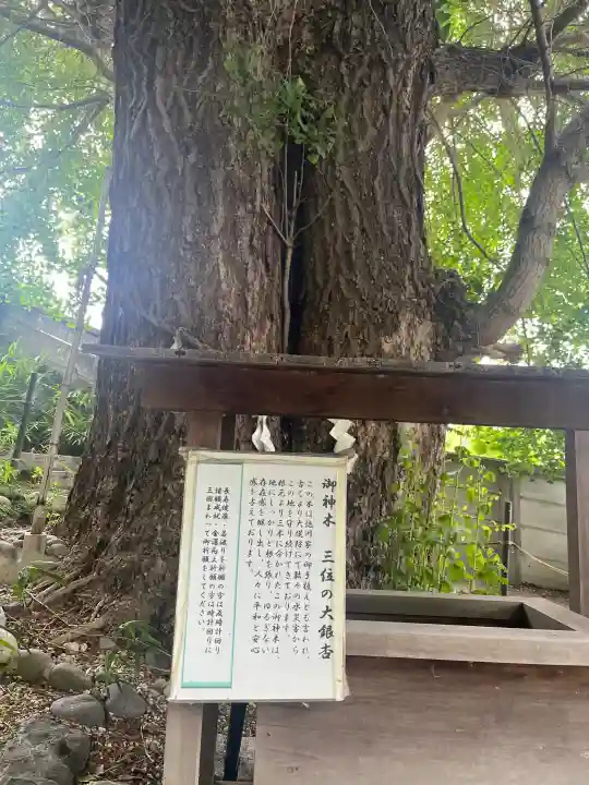 堤治神社(愛知県)