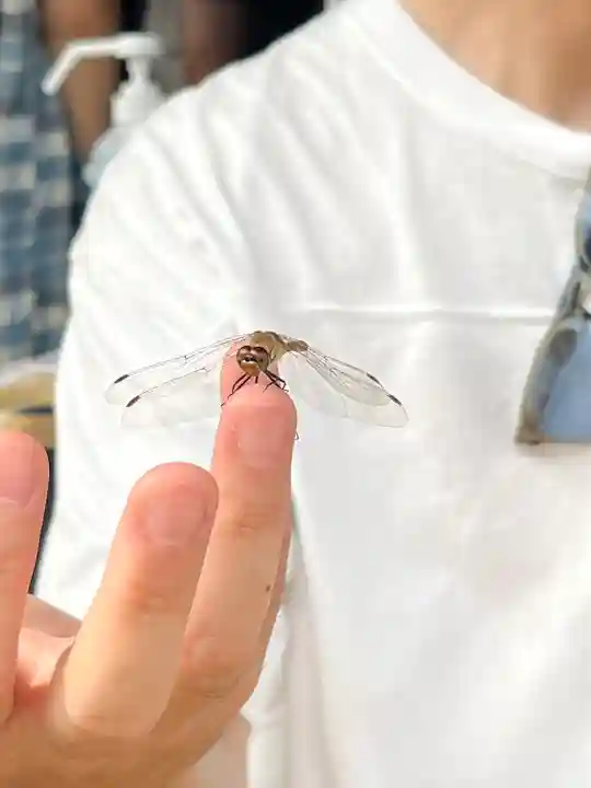 西方寺(宮城県)
