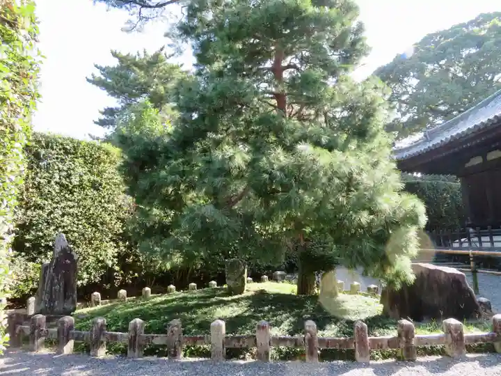 平等院のその他建物