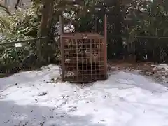 富士浅間神社の動物